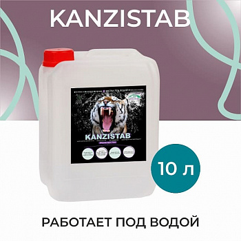 КАНЗИСТАБ, 10л.