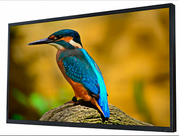 Влагостойкий Smart Ultra HD (4K) LED телевизор AVS550OT